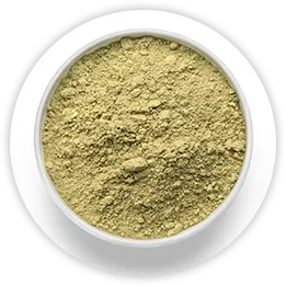 bladderwrack-powder