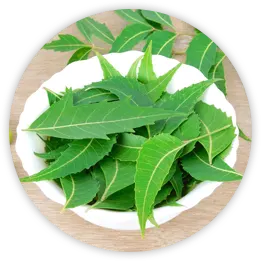 neem