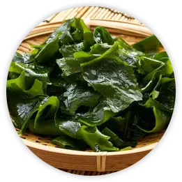 wakame-extract